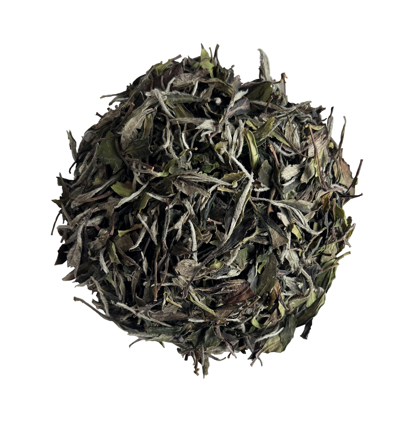 2024 Organic First Grade White Peony