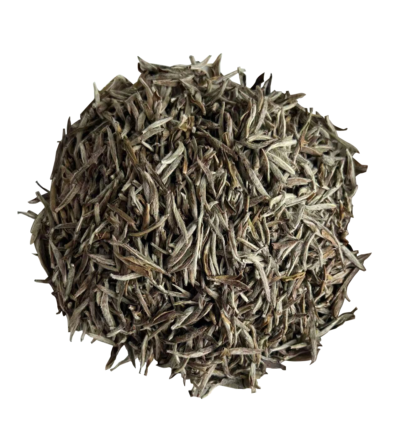 2019 Organic Silver Needle Tea
