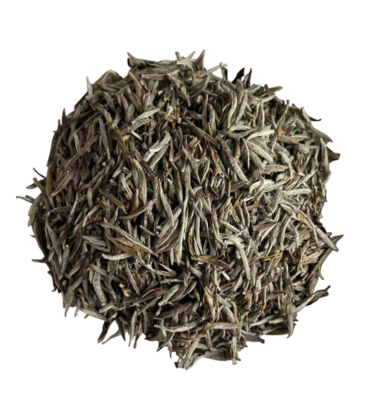 2019 Organic Silver Needle Tea