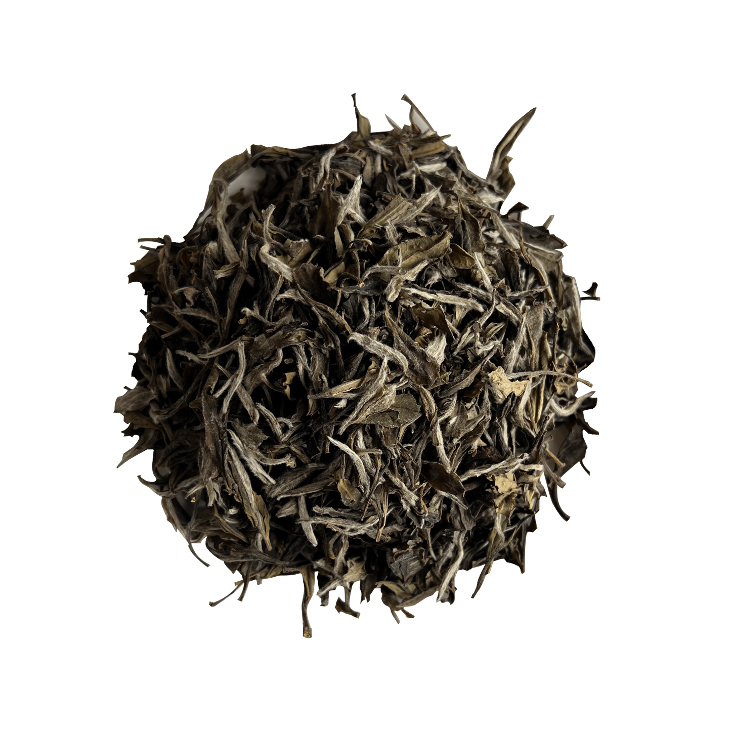 2020 Organic First Grade White Peony