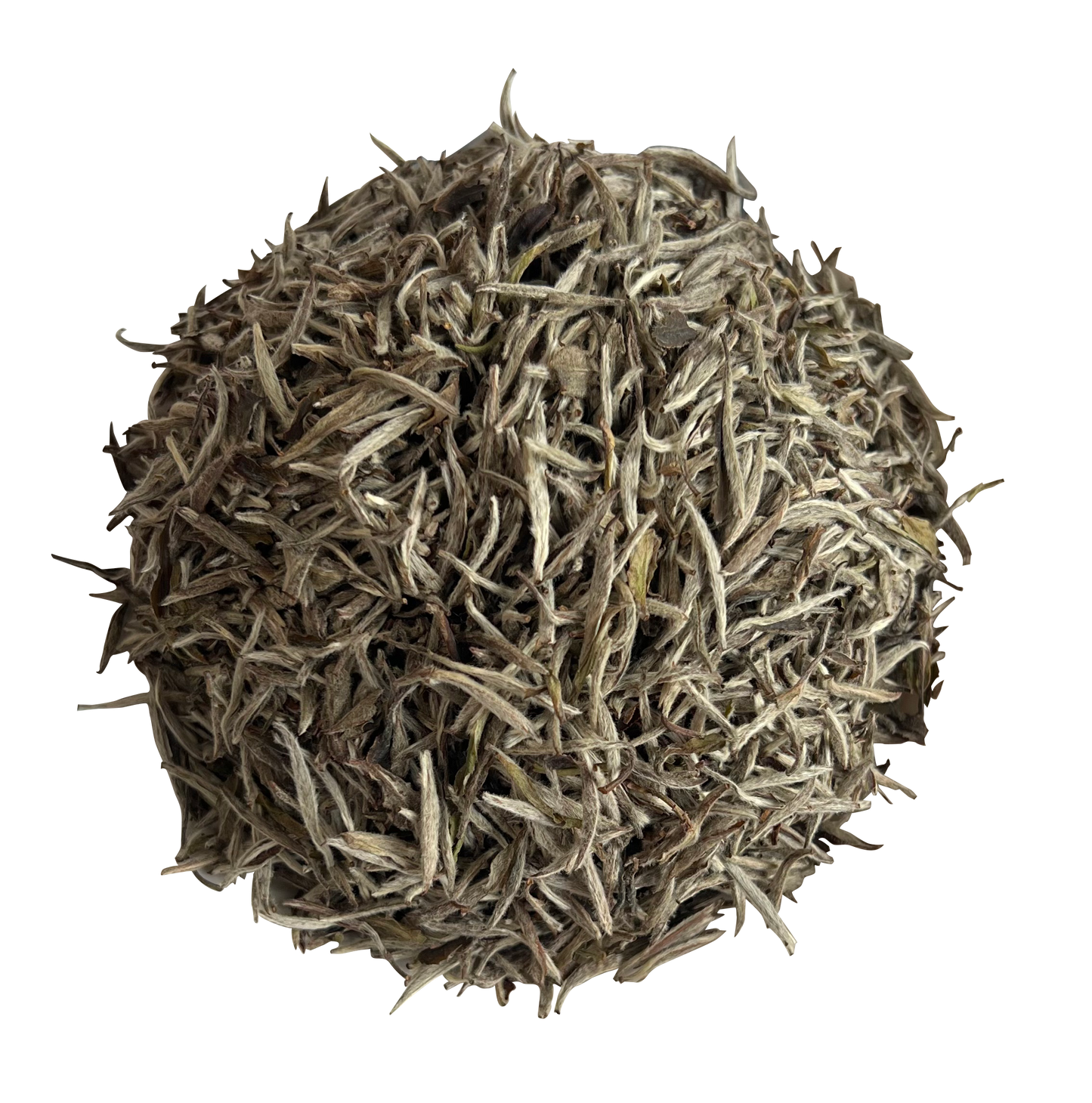 2020 Silver Needle Tea