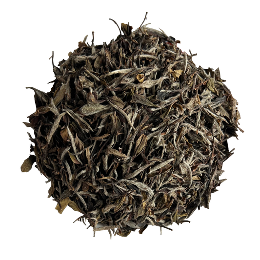 2020 Organic Superfine White Peony