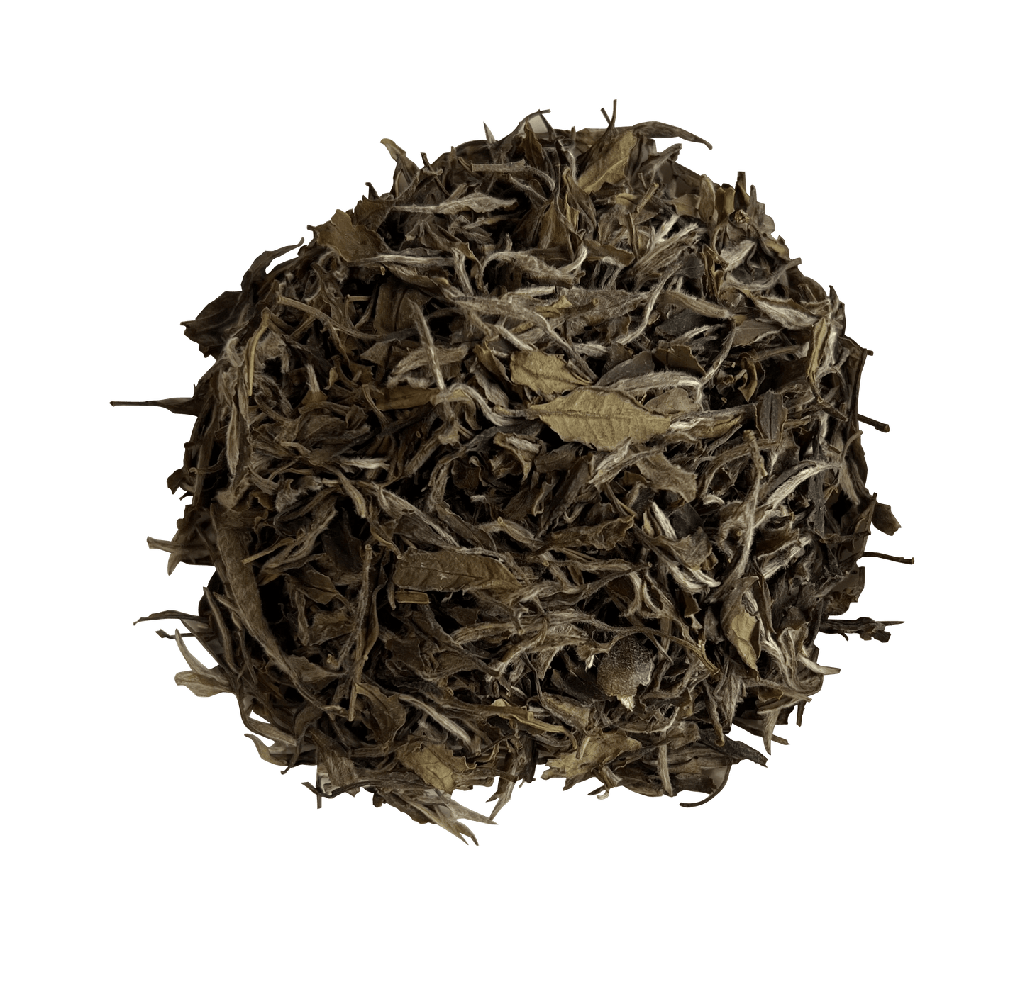 2021  First Grade White Peony