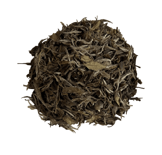 2021  First Grade White Peony