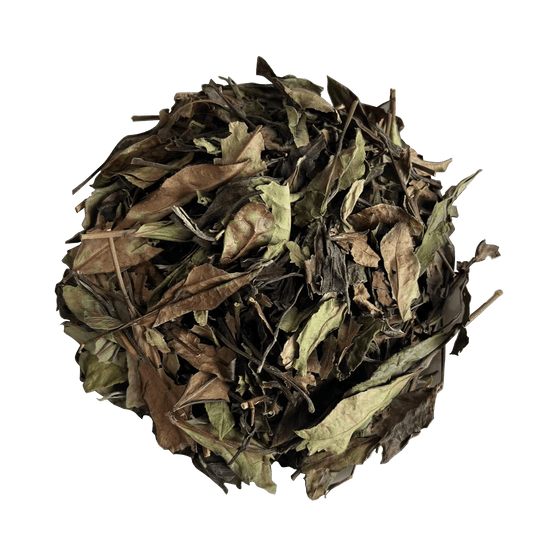 2021 Organic Shoumei