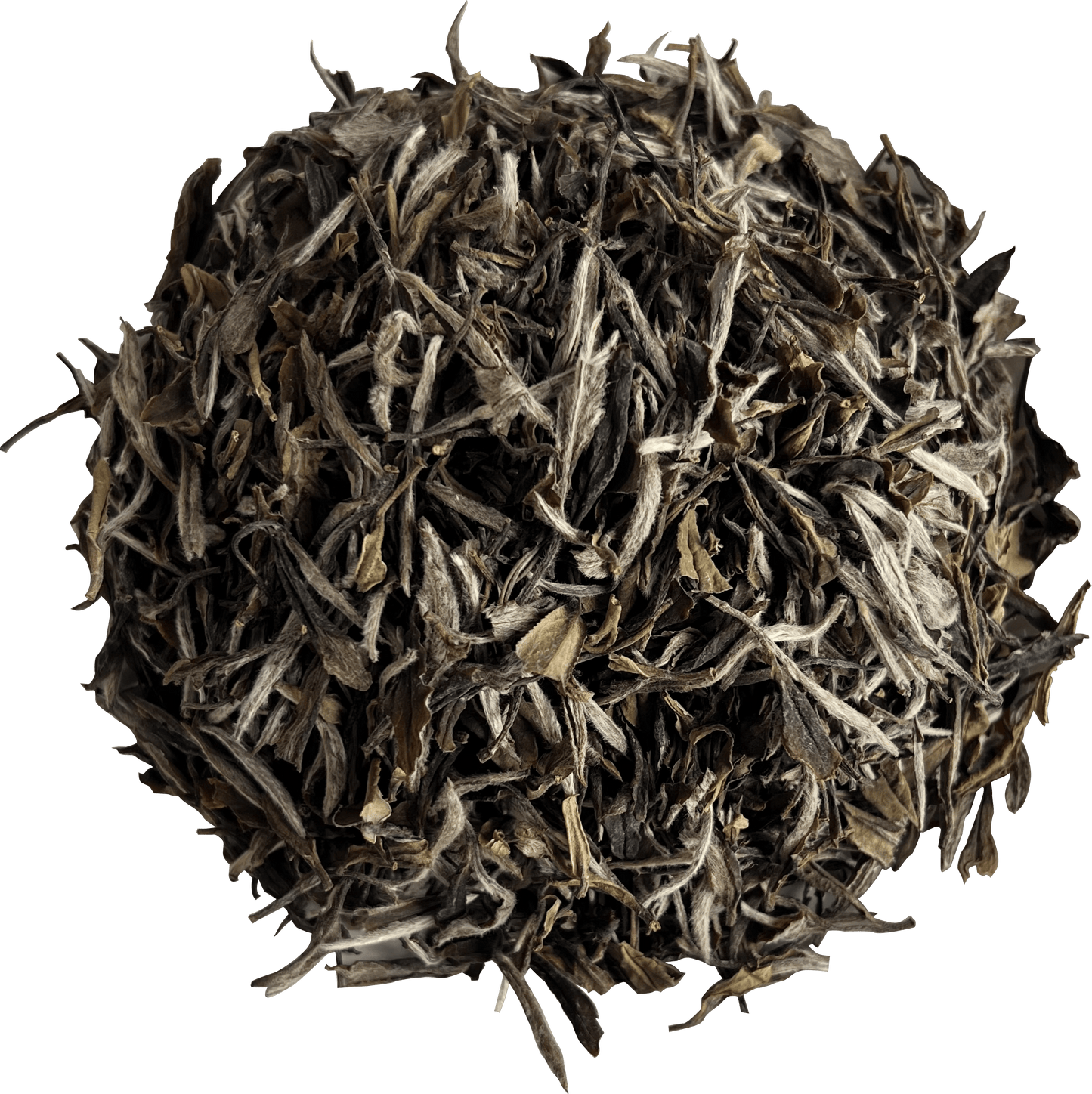 2021 Organic Superfine White Peony