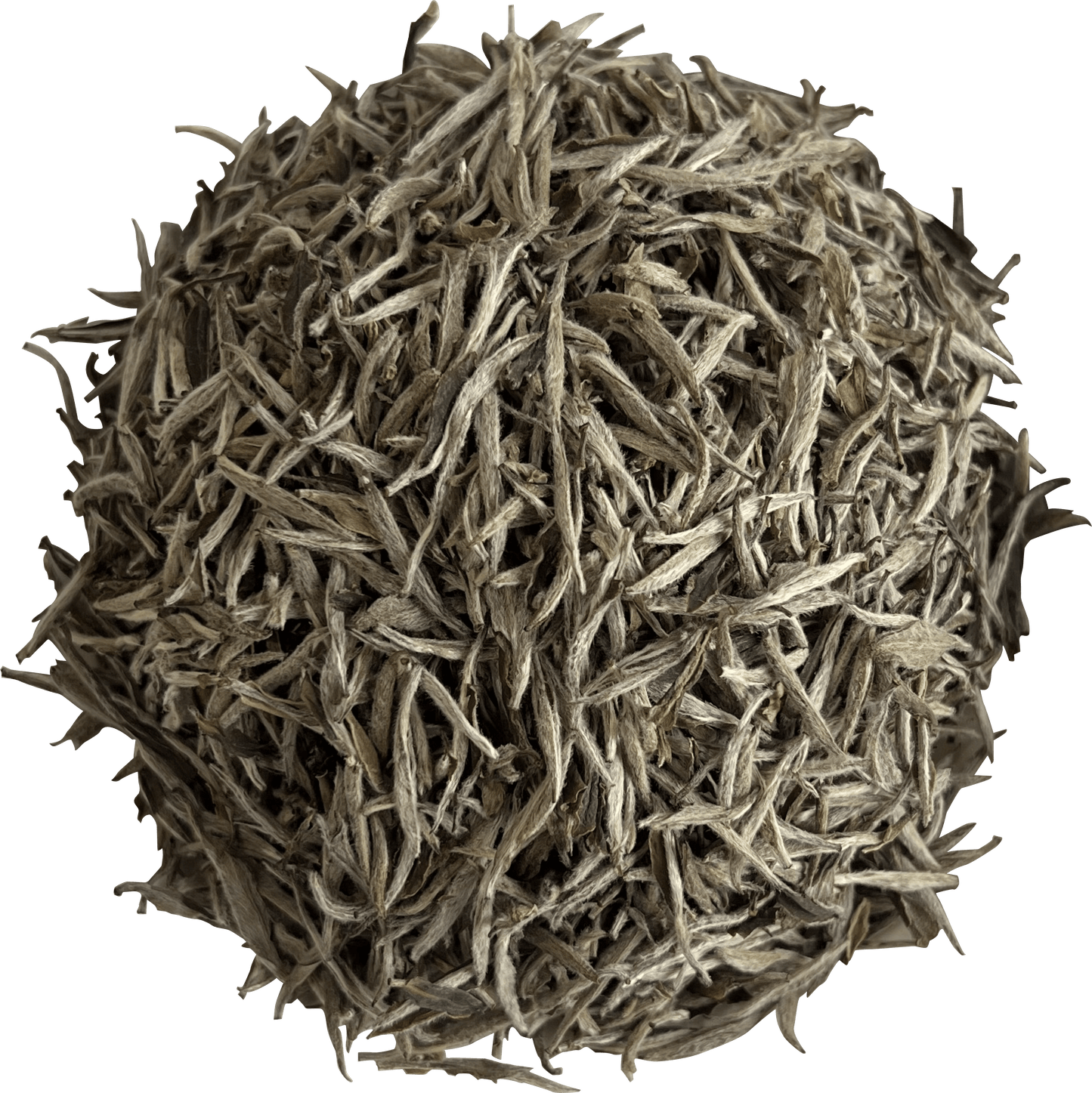 2022 Silver Needle Tea