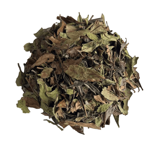 2022 Organic Shoumei