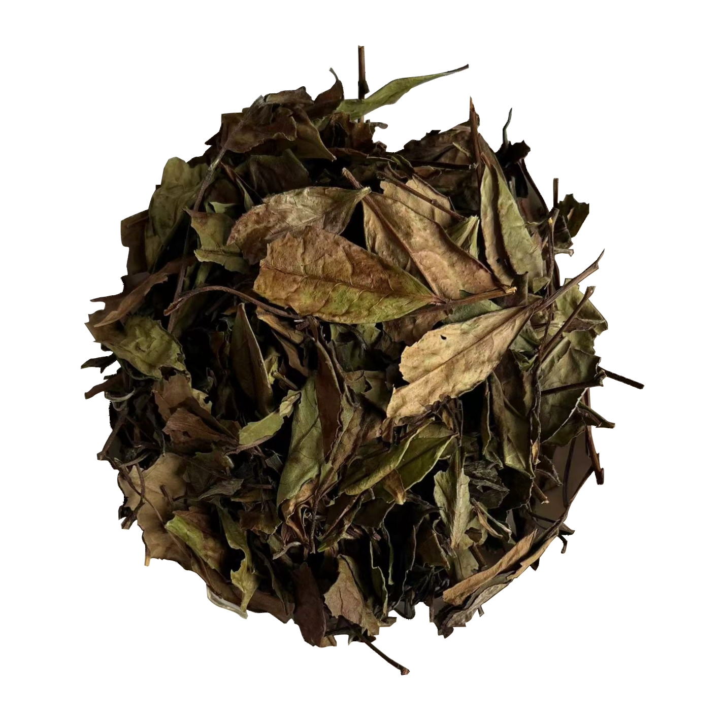 2023 Organic Shoumei