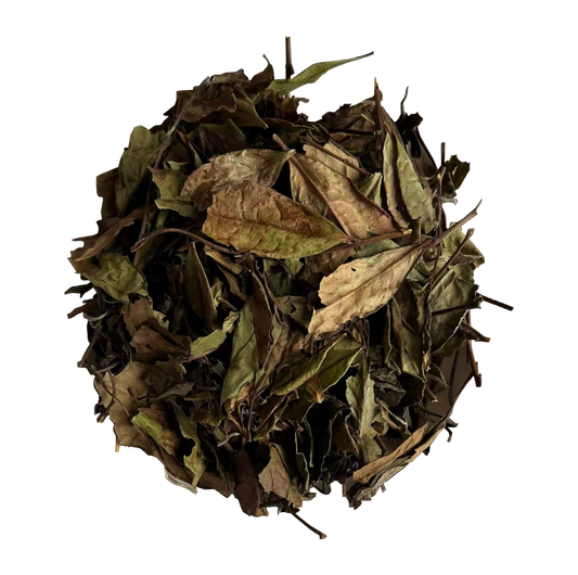 2023 Organic Shoumei