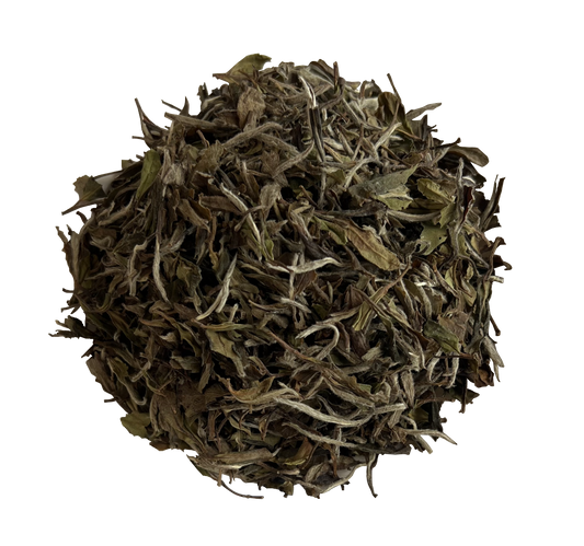 2023  First Grade White Peony