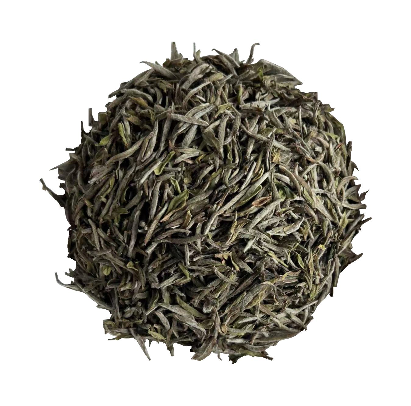2023 Organic Silver Needle Tea