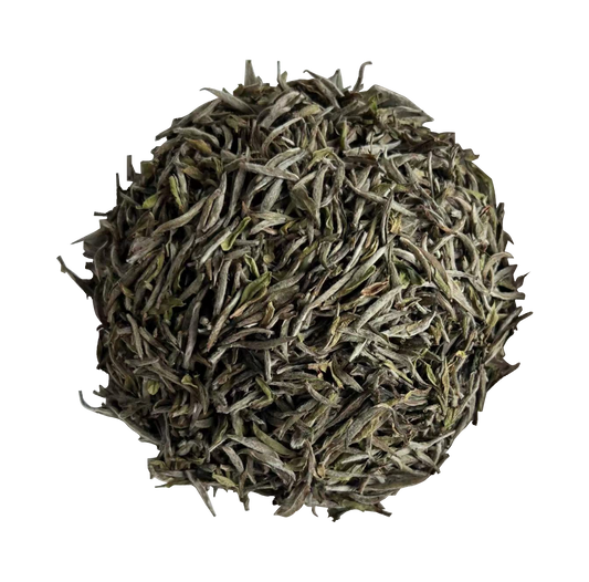 2023 Organic Silver Needle Tea