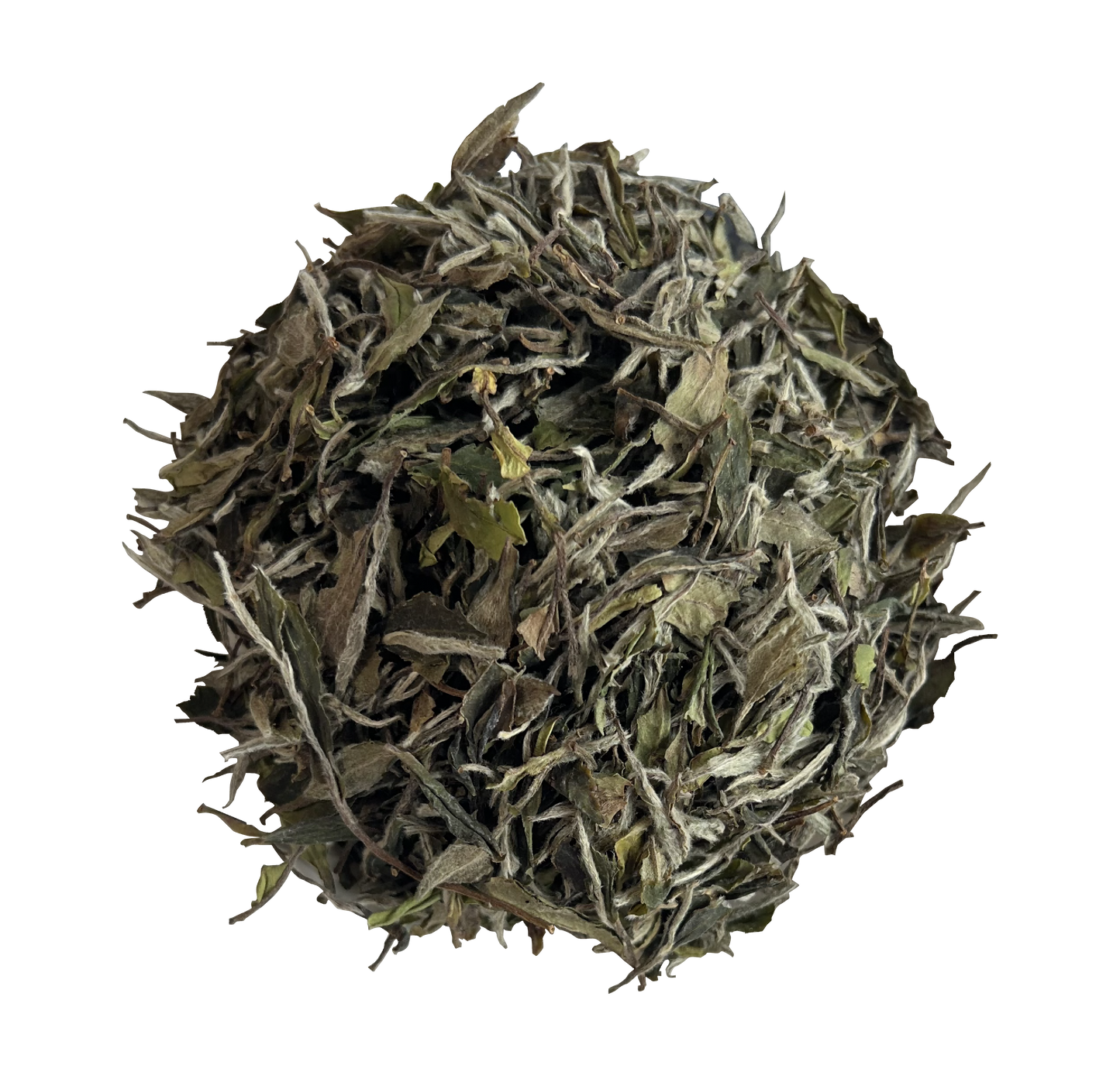 2024 Superfine White Peony