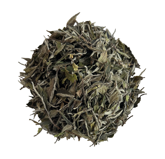 2024 Superfine White Peony