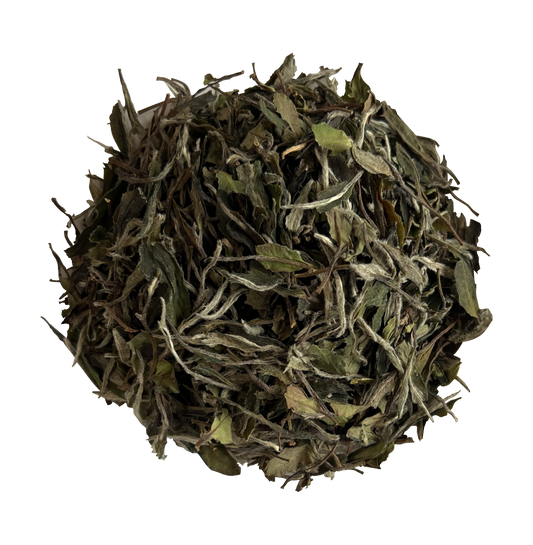 2024  First Grade White Peony