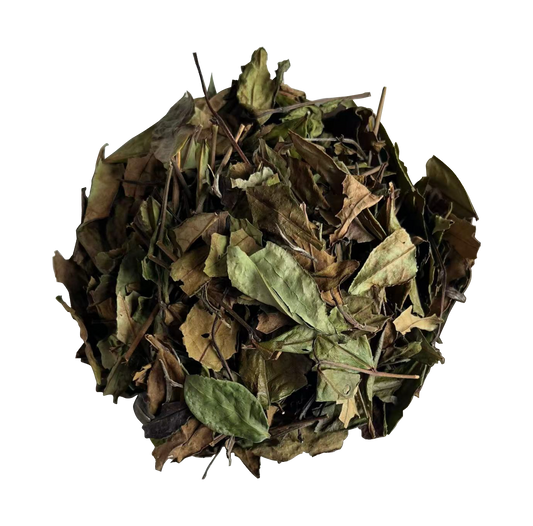 2024 Organic Shoumei