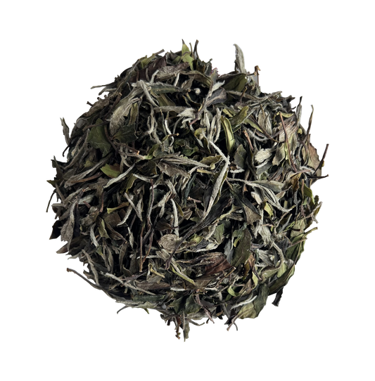 2024 Organic First Grade White Peony