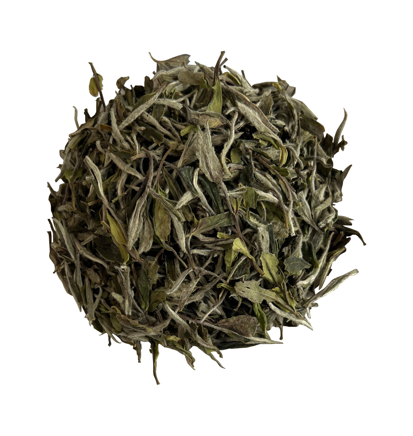 2025 Superfine White Peony