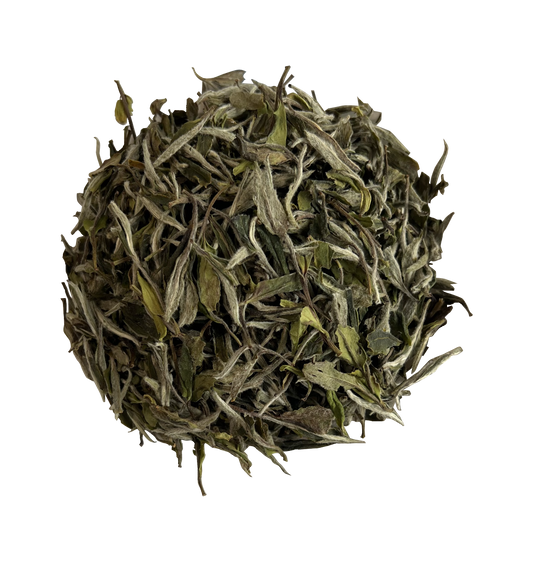 2025 Superfine White Peony